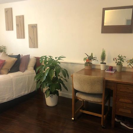 Quiet-Comfy 3 Bedroom Home On A Tree Lined Street In Kits Vancouver Eksteriør billede